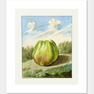 Apple in Landscape Posters and Art